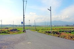 道路,村,屋外,秋,晴れ