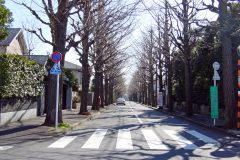 道路,町,屋外,冬,晴れ