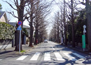 道路,町,屋外,冬,晴れ