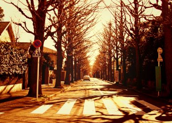 道路,町,屋外,冬,晴れ,ヴィンテージ