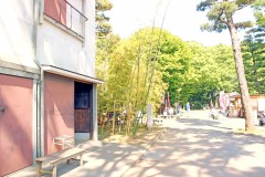 道路,町,夏,屋外,晴れ