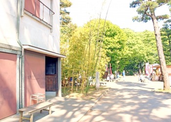 道路,町,夏,屋外,晴れ