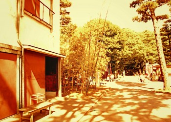 道路,町,夏,屋外,晴れ,ヴィンテージ