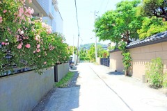 道路,町,屋外,夏,晴れ