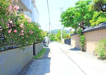 道路,町,屋外,夏,晴れ