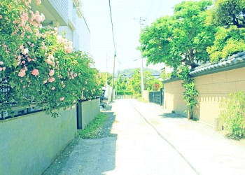 道路,町,屋外,夏,晴れ,昭和レトロ