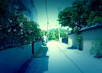 道路,町,屋外,夏,晴れ,ホラー