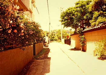 道路,町,屋外,夏,晴れ,ヴィンテージ