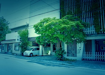 道路,町,晴れ,屋外,夏,ホラー
