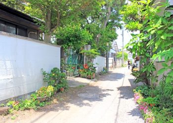 道路,町,屋外,夏,晴れ