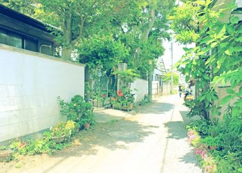 道路,町,屋外,夏,晴れ,昭和レトロ