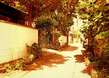 道路,町,屋外,夏,晴れ,ヴィンテージ