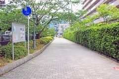 道路,町,屋外,夏,晴れ