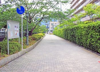 道路,町,屋外,夏,晴れ