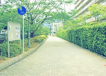 道路,町,屋外,夏,晴れ,昭和レトロ