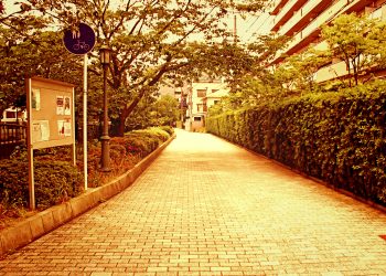 道路,町,屋外,夏,晴れ,ヴィンテージ