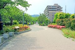 道路,町,屋外,夏,晴れ