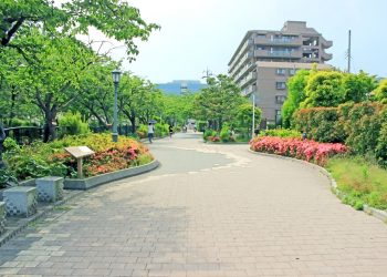 道路,町,屋外,夏,晴れ