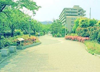 道路,町,屋外,夏,晴れ,昭和レトロ