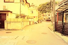 道路,町,屋外,春,曇り
