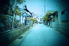 道路,町,屋外,春,曇り