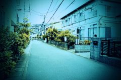 道路,町,屋外,春,曇り