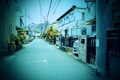 道路,町,屋外,春,曇り