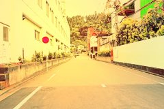 道路,町,屋外,春,曇り