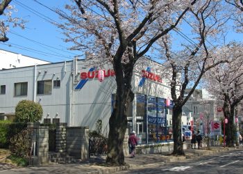 道路,町,屋外,春,晴れ
