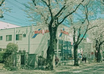 道路,町,屋外,春,晴れ,昭和レトロ