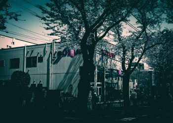 道路,町,屋外,春,晴れ,ホラー