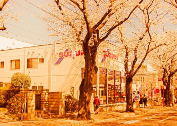 道路,町,屋外,春,晴れ,ヴィンテージ