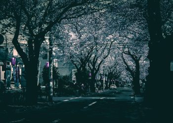 道路,町,屋外,春,晴れ,ホラー