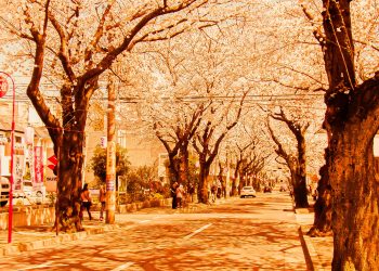 道路,町,屋外,春,晴れ,ヴィンテージ