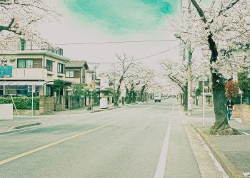 道路,町,屋外,春,晴れ,昭和レトロ