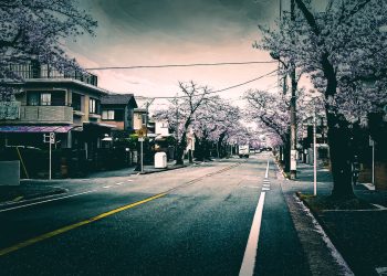 道路,町,屋外,春,晴れ,ホラー