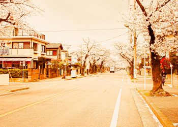 道路,町,屋外,春,晴れ,ヴィンテージ