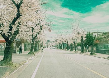 道路,町,屋外,春,晴れ,昭和レトロ