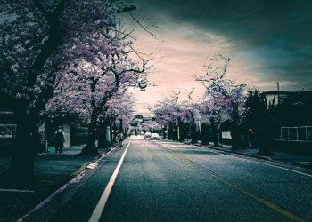 道路,町,屋外,春,晴れ,ホラー