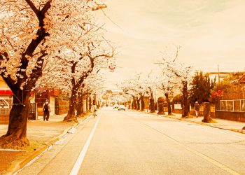 道路,町,屋外,春,晴れ,ヴィンテージ
