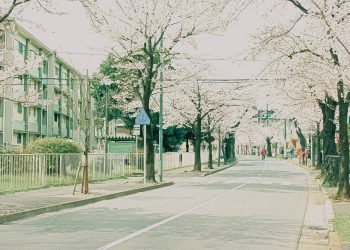 道路,町,屋外,春,晴れ,昭和レトロ