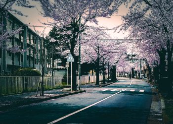 道路,町,屋外,春,晴れ,ホラー
