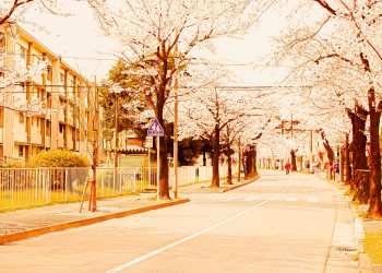 道路,町,屋外,春,晴れ,ヴィンテージ