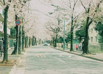 道路,町,屋外,春,晴れ,昭和レトロ