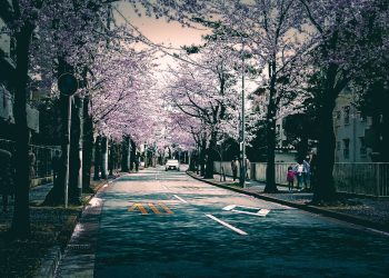 道路,町,屋外,春,晴れ,ホラー