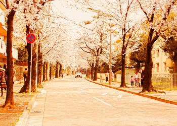 道路,町,屋外,春,晴れ,ヴィンテージ