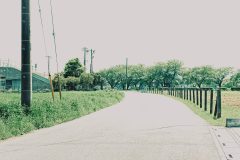 道路,町,屋外,春,晴れ
