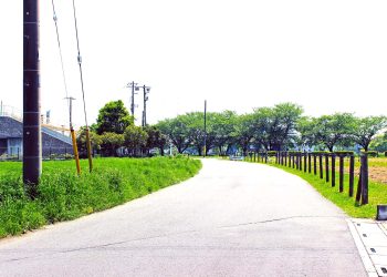 道路,町,屋外,春,晴れ