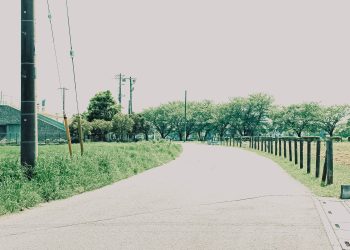 道路,町,屋外,春,晴れ,昭和レトロ