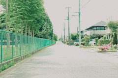 道路,町,屋外,春,晴れ